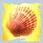 Seashell from our clear seas. 
