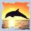 Dolphins at Aegean Sea.